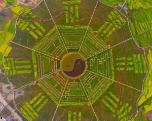 贵州八卦爆料事件始末最新消息,揭秘真相与网络舆论风暴的始末